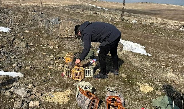 Bitlis'te kaçak keklik avlayan 4 kişiye 88 bin lira idari para cezası kesildi
