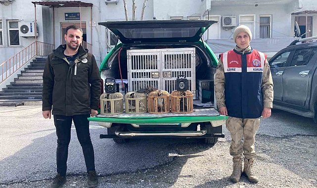 Bitlis'te keklik avlayan 4 kişiye 106 bin 135 lira para cezası