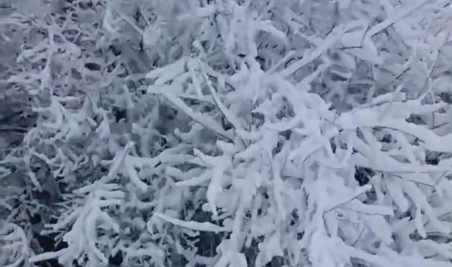 Elazığ Baskil'de kar yağışı etkili oldu