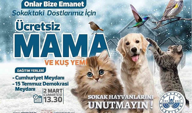Elazığ Belediyesi ücretsiz mama ve kuş yemi dağıtacak