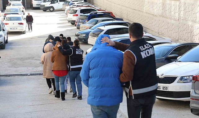 Elazığ'da Cımbız-2 Operasyonu: Kamuyu 4 milyon 200 bin lira zarara uğratan 7 şüpheli yakalandı