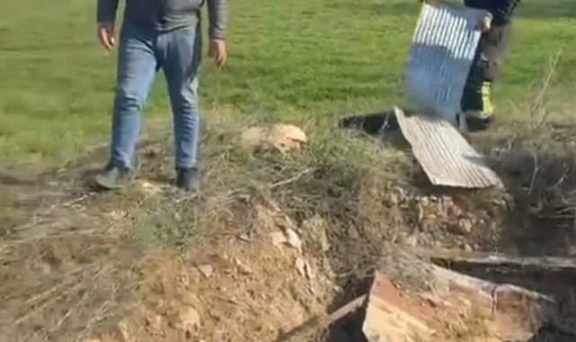 Elazığ'da kuyuya düşen ineği itfaiye kurtardı