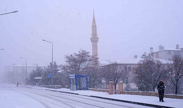 Erzurum'da kış geri döndü, 196 köy yolu kapalı