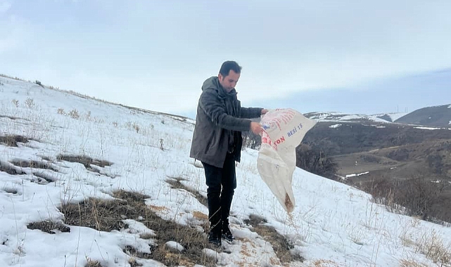 Kars'ta yaban hayvanları için doğaya yem bırakıldı