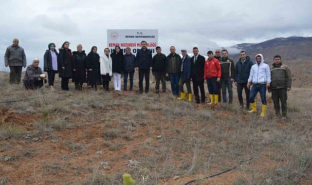 Kemah'ta fidan dikim etkinliği düzenlendi