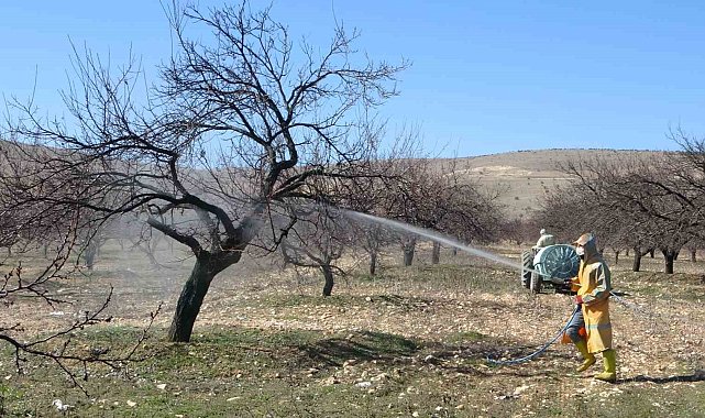 Malatya'da erken tomurcuklanan kayısı ağaçları endişelendirdi