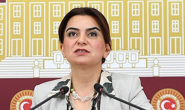 Milletvekili Kılıç, kadın cinayetleri ve şiddet olaylarını sordu