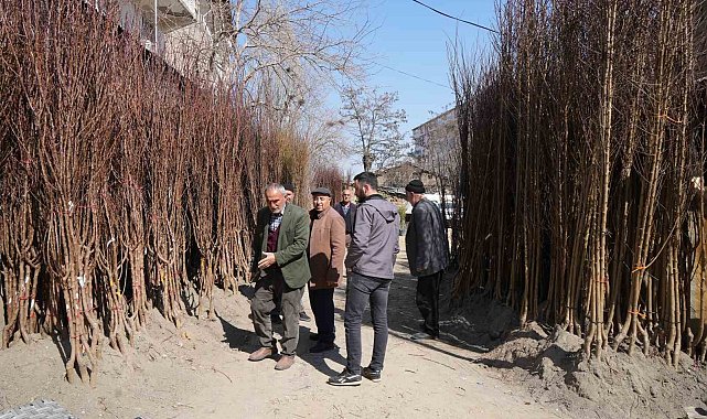 Muş'ta fidan satışları başladı
