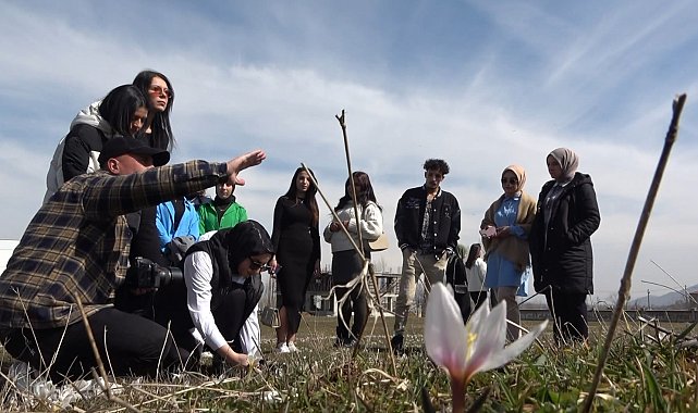 Muş'ta fotoğrafçılar kardelenlerin güzelliğini objektiflerine taşıdı