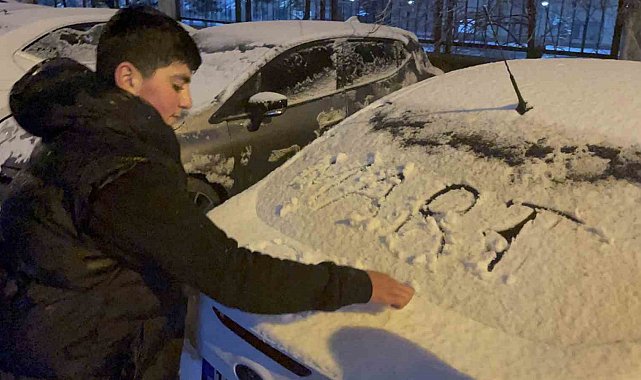 Tatvan'da kar yağışı etkili oldu