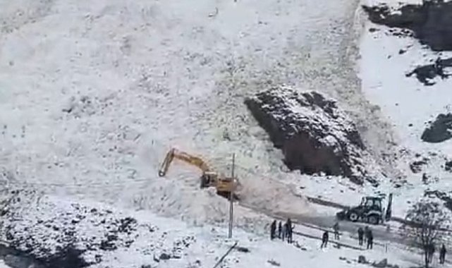 Van-Bahçesaray yoluna çığ düştü