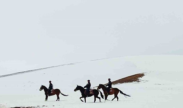Van'da 108 düzensiz göçmen yakalandı