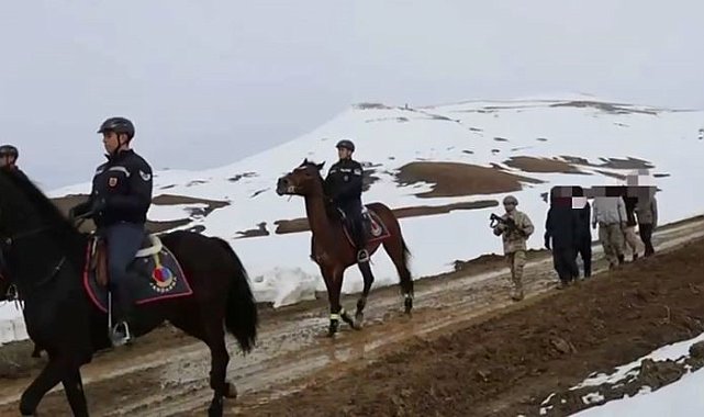 Van'da 199 düzensiz göçmen yakalandı