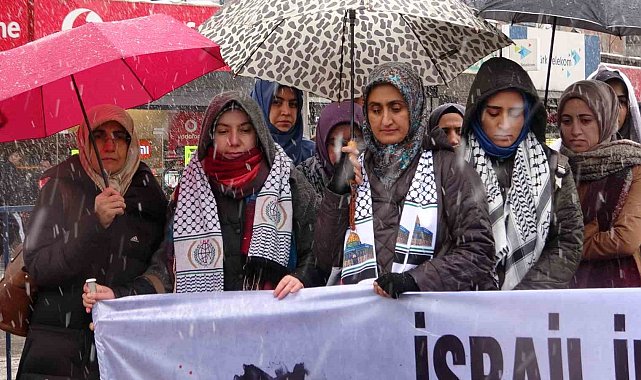 Van'daki sağlık çalışanlarından kar yağışı altında Gazze için 'sessiz protesto'