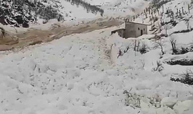 Yüksekova'da çığ düştü, köyün şehirle ulaşımı kesildi