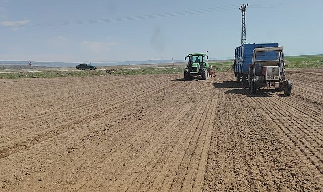 Adilcevaz'da şeker pancarı ekimine başlandı