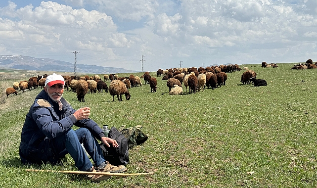 Ağrı'da besiciler hayvanlarını meraya çıkardı