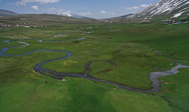 Ağrı'da kar sularıyla beslenen menderesler dronla görüntülendi