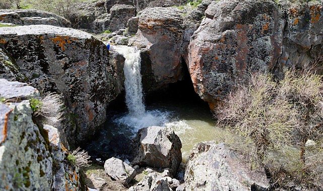 Ağrı'da baharla birlikte canlanan doğa göz kamaştırdı