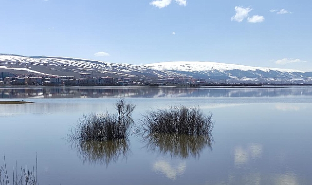 Ardahan'da nehir taştı, ova göle döndü