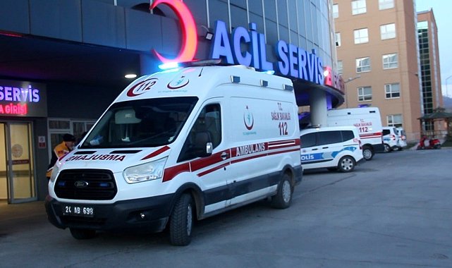 Ayının saldırısına uğrayan 1 kişi yaralandı