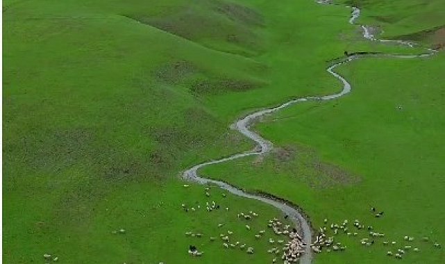 Bahar geldi, yeşillikler arasındaki menderesler hayran bıraktı