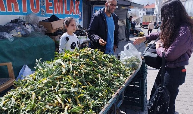Baharın müjdeleyicisi gülbahar bitkisi tezgâhlarda yerini aldı