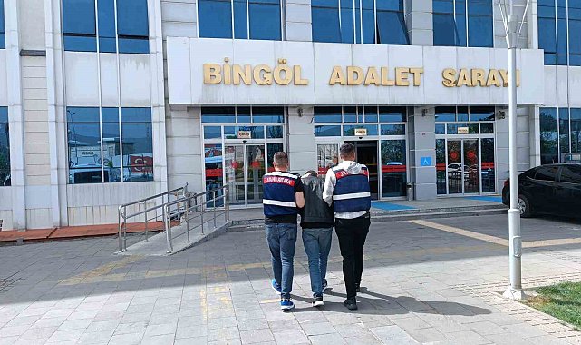 Bingöl'de 20 yıl kesinleşmiş hapis cezası olan şahıs yakalandı