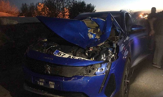 Bingöl'de otomobilin çarptığı inek telef oldu