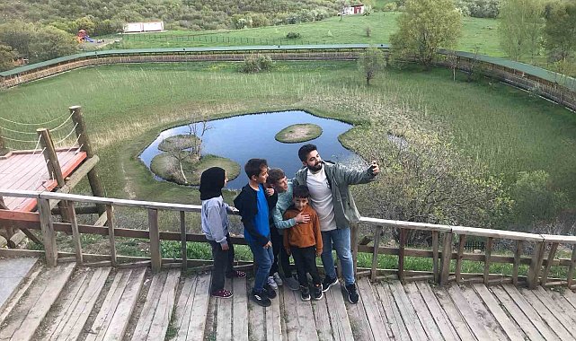 Bingöl'ün doğa harikası yüzen adalar yaz aylarıyla birlikte yeşile büründü