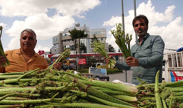 Bitlis'te 'yayla muzu' uçkunun fiyatı, 'Anamur muzunu' üçe katladı