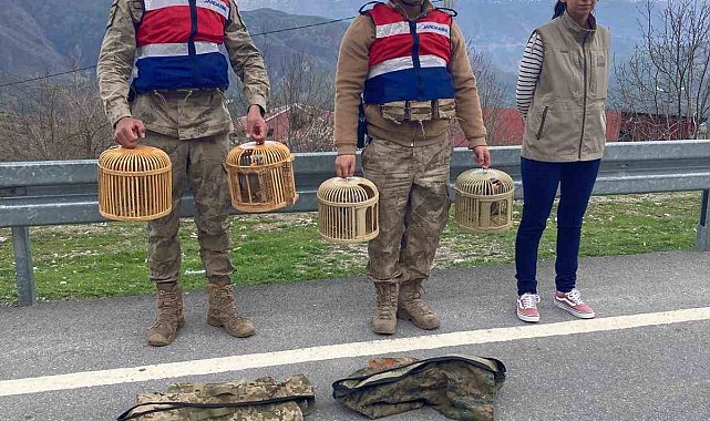 Bitlis'te keklik avcılarına 34 bin lira para cezası