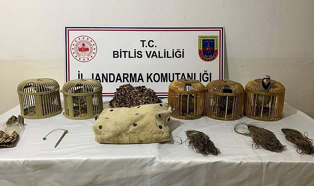Bitlis'te keklik avlayan 2 kişiye 63 bin lira para cezası uygulandı