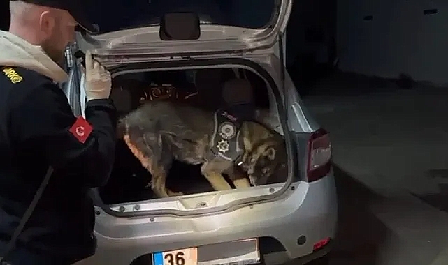 Daxo yine iş başında