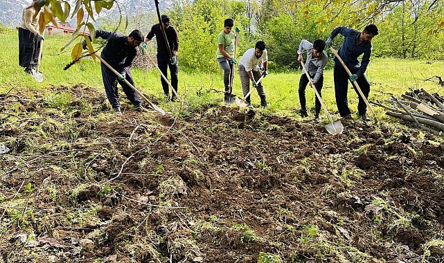 Derecik'te köylülerin imece usulü bağ çapalama mesaisi