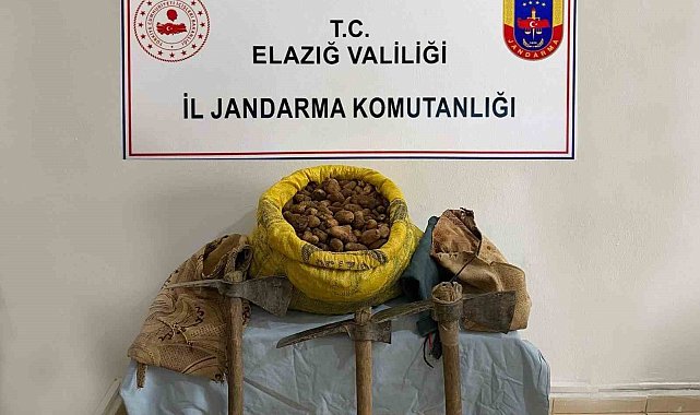 Elazığ'da 30 kilogram salep bitkisi ele geçirildi