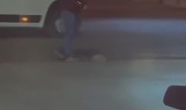 Elazığ'da duyarlı bir vatandaş, yola çıkan kirpiyi ezilmekten kurtardı