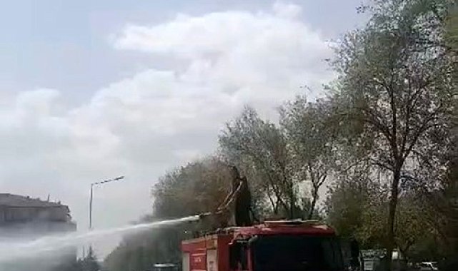 Elazığ'da otluk alanda yangın