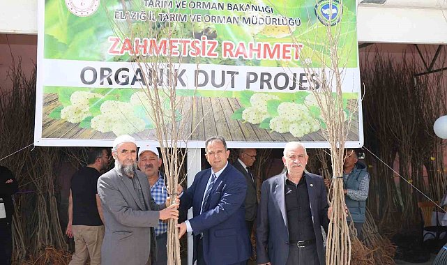 Elazığ'da üreticilere bin 400 adet dut fidanı dağıtıldı