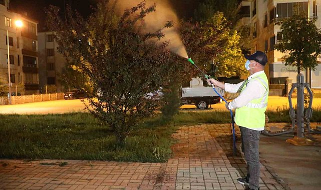 Elazığ'da yeşil alanlar ilaçlanıyor