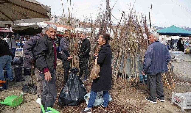 Erzincan'da meyve fidanı satışı başladı