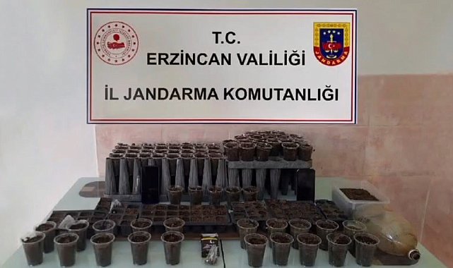 Erzincan'da uyuşturucu operasyonu: 1 kişi tutuklandı