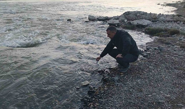 Fizyolojik uyum süreçlerini tamamlayan Van Gölü'nün incilerinin zorlu yolculuğu başladı