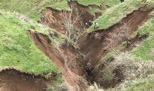 Güroymak'ta toprak kayması: Hayvanlar vadiye düştü