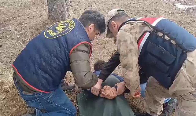 Hapis cezasıyla aranıyordu, Kars'ta yakalandı
