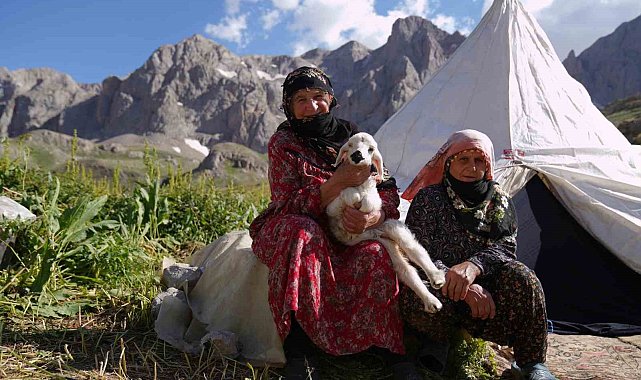Havalar ısındı, meralar şenlendi