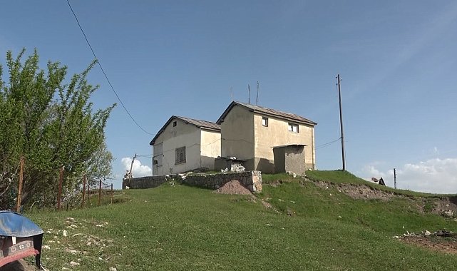 Hazine avcıları ahırdan tünel kazarak tümülüsün altını oydu