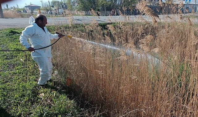 Iğdır belediyesinden sivrisinek ve haşerelere karşı ilaçlama