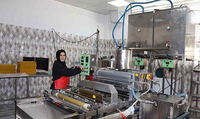 Kadın girişimci ilk ihracatını Azerbaycan'a yaptı