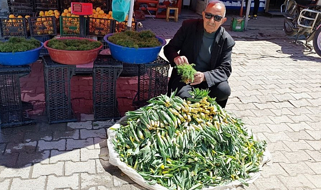 Kağızman'da doğal çiriş otu tezgahlardaki yerini aldı